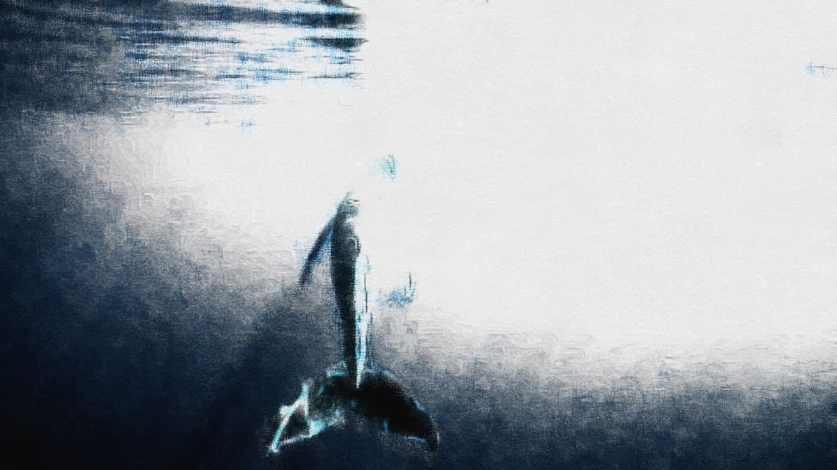 The Loneliest Whale