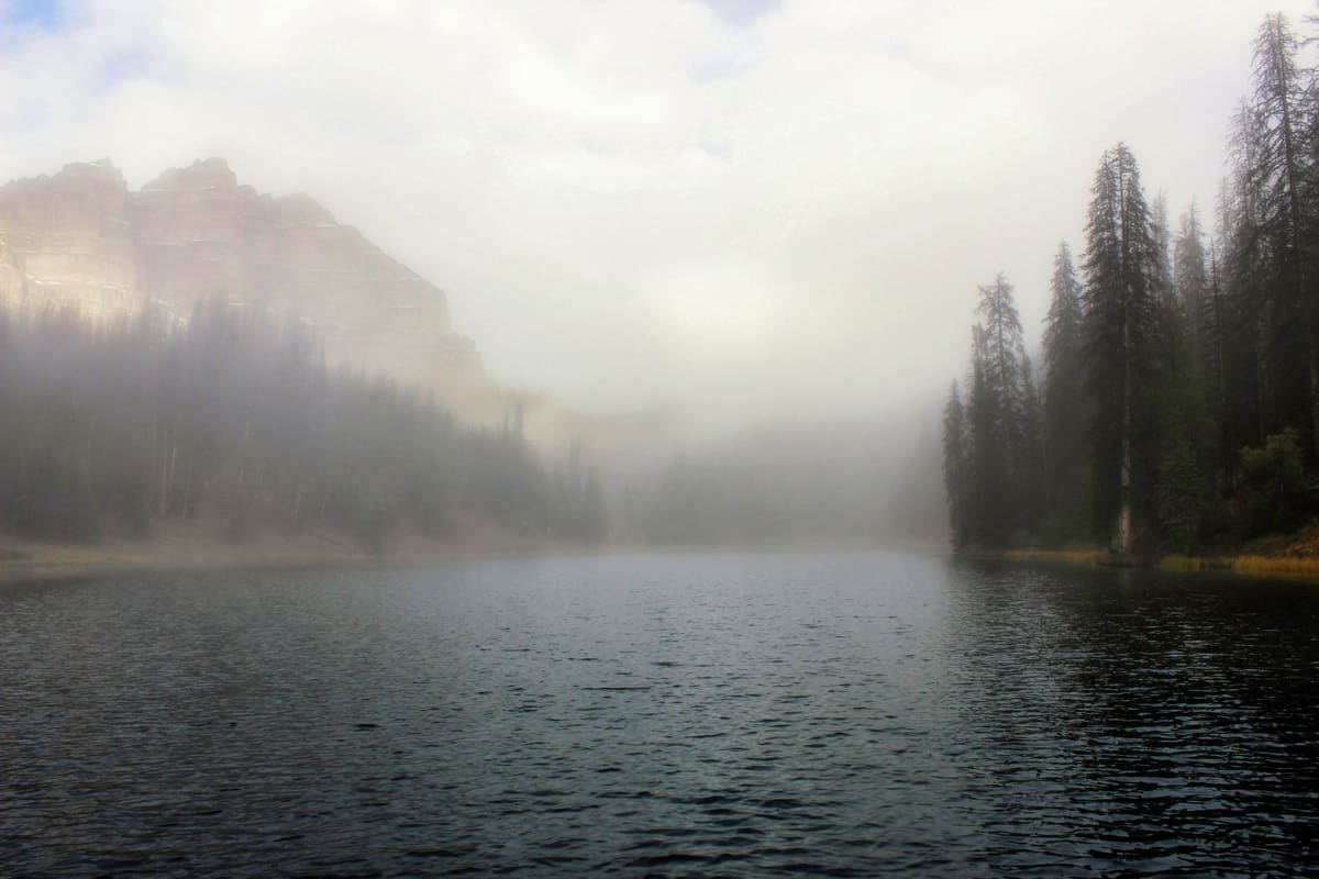 Fog Rolling In