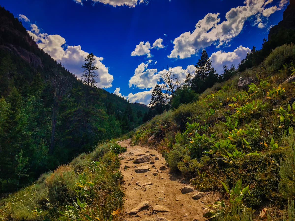 Heading on up