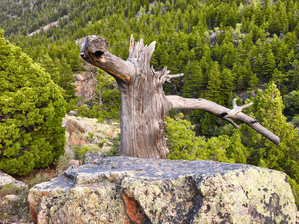Pointing the way back down