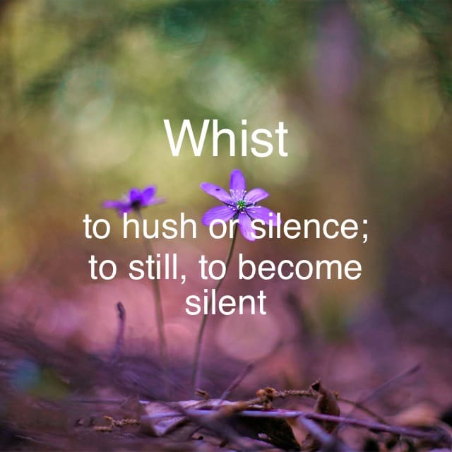 The word is Whist