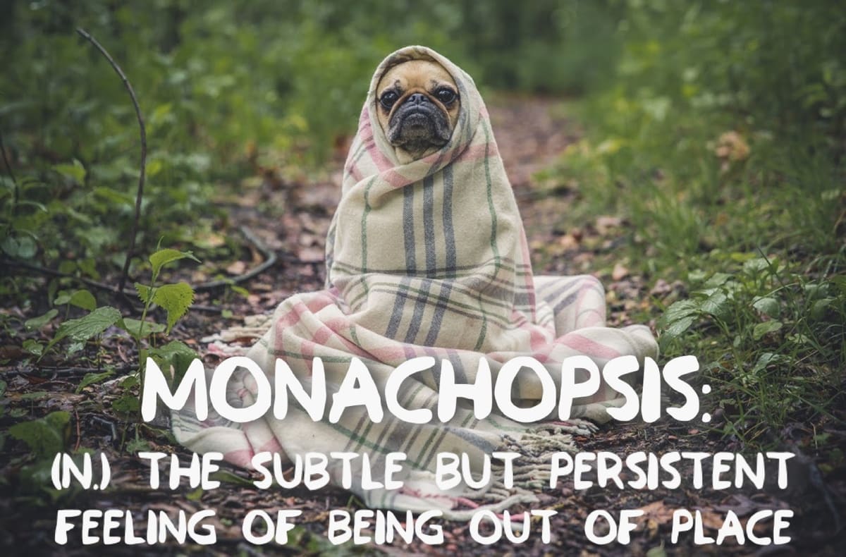 Monachopsis