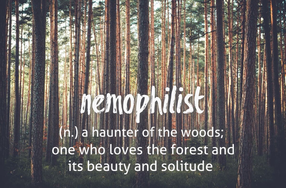 The word is Nemophilist