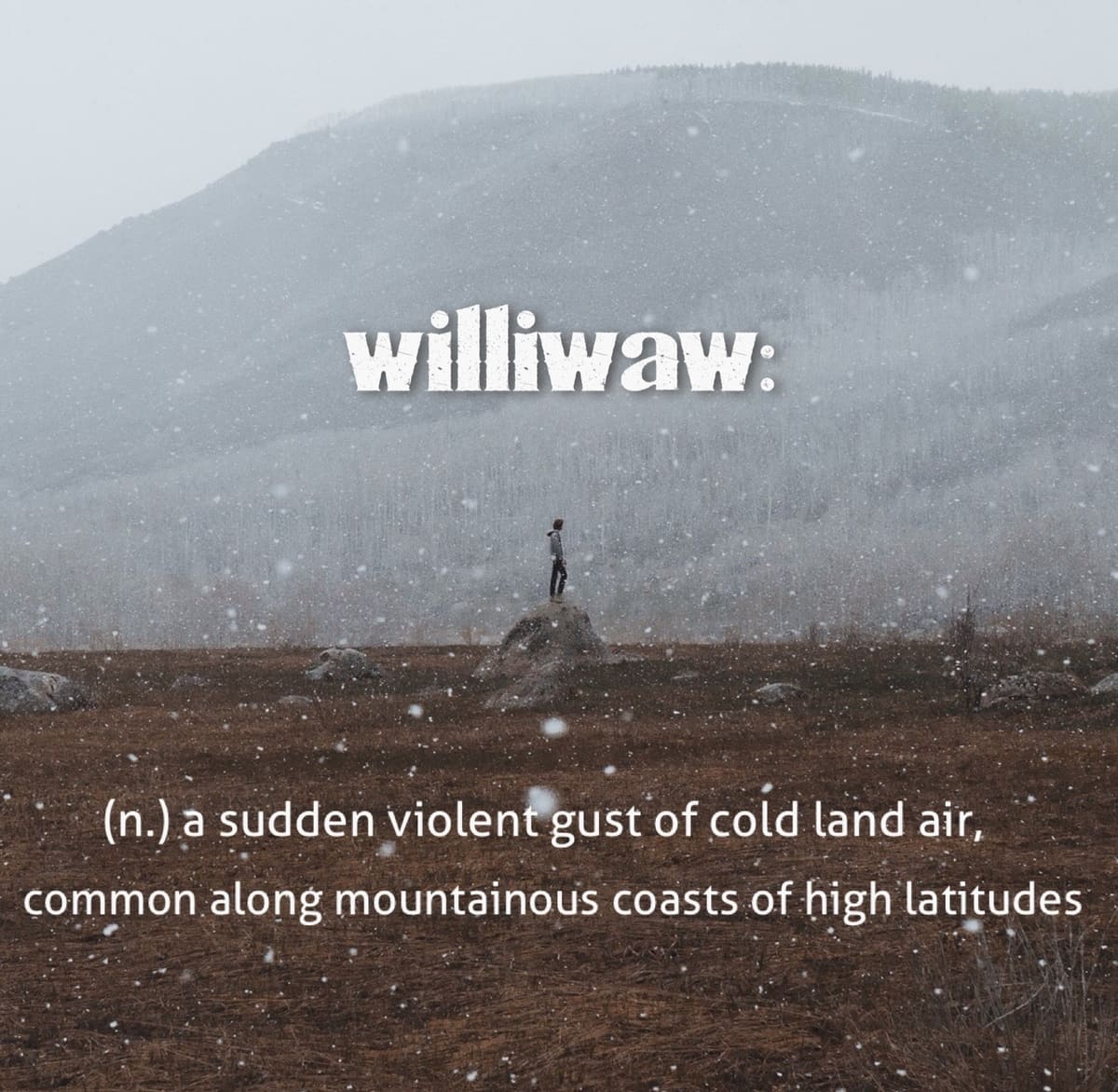 The word is Williwaw