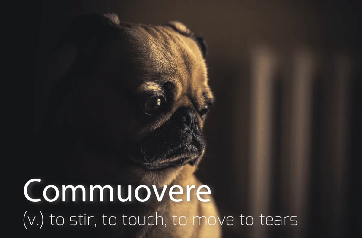 The word is Commuovere