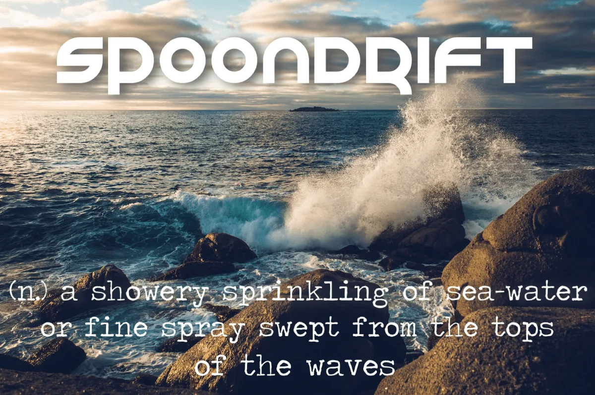 The word is Spoondrift