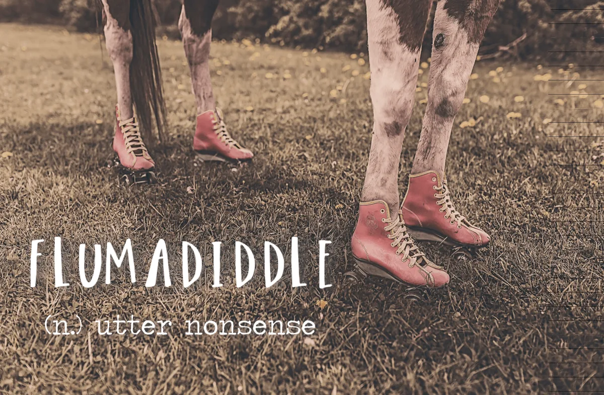 The word is Flumadiddle