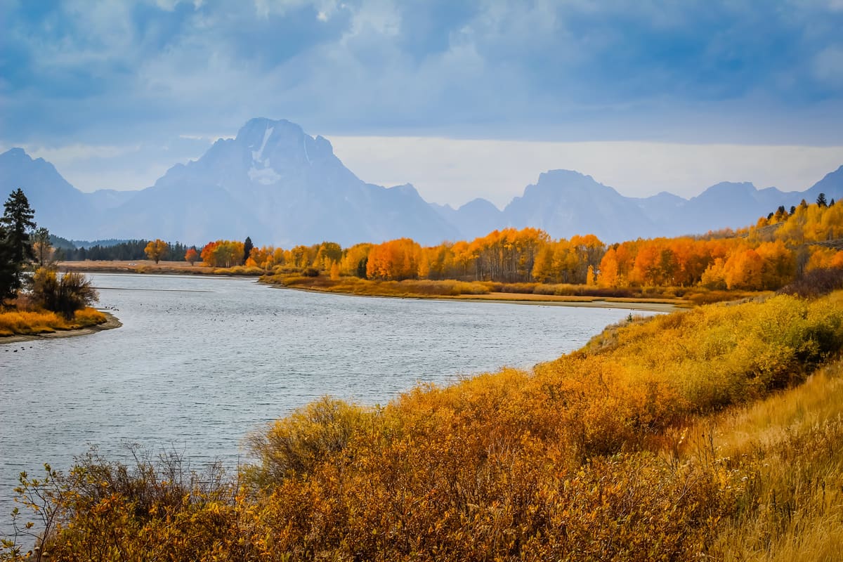 Autumn Splendor