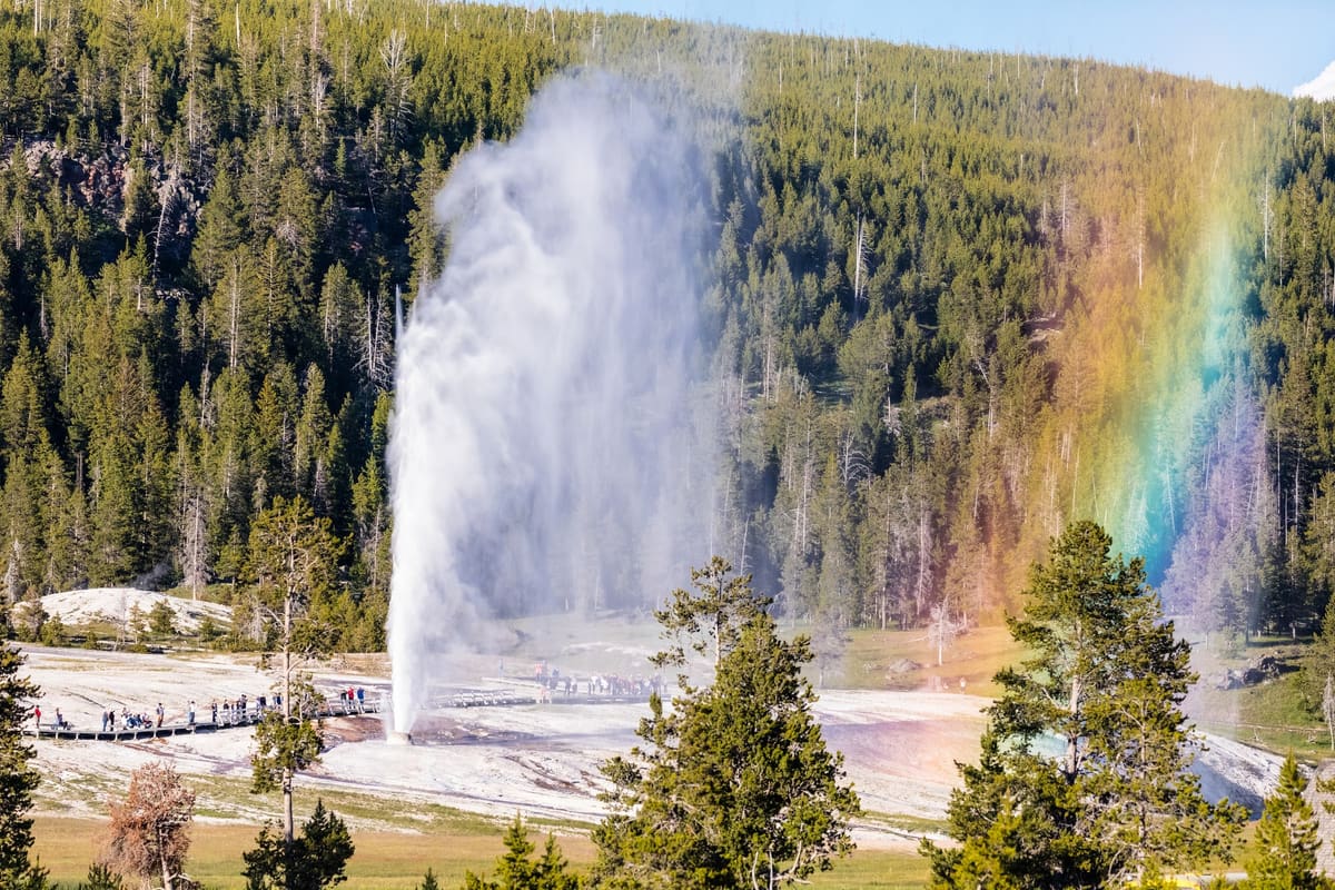 Beehive Geyser & Rainbow Geyser!