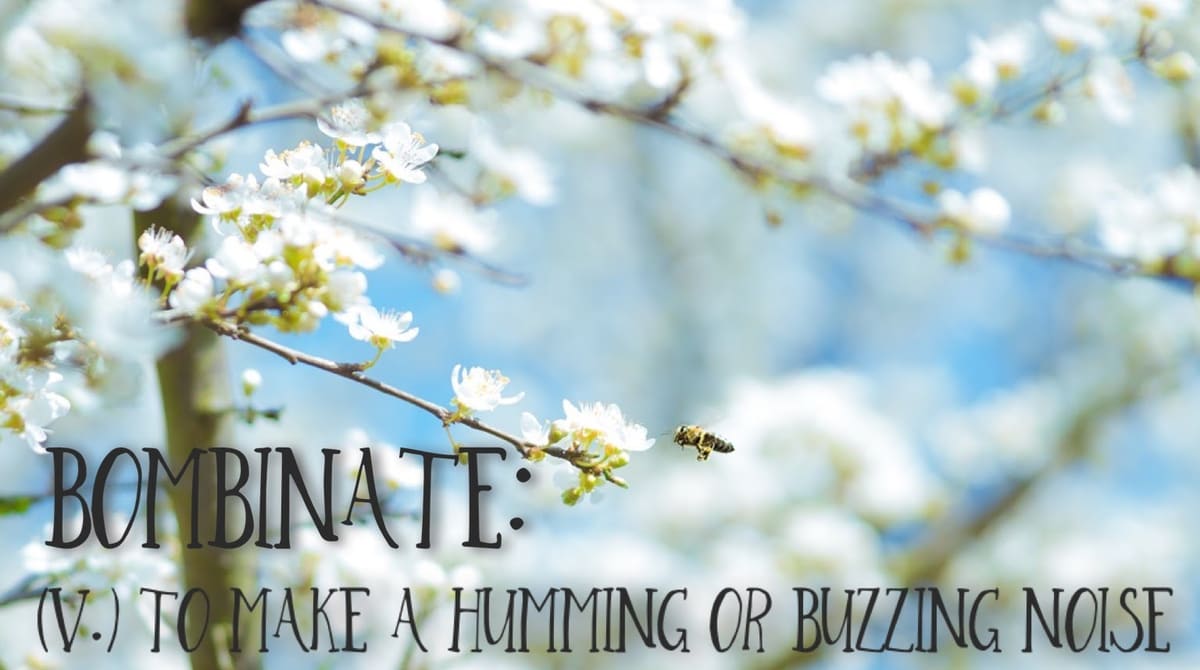 Bombinate