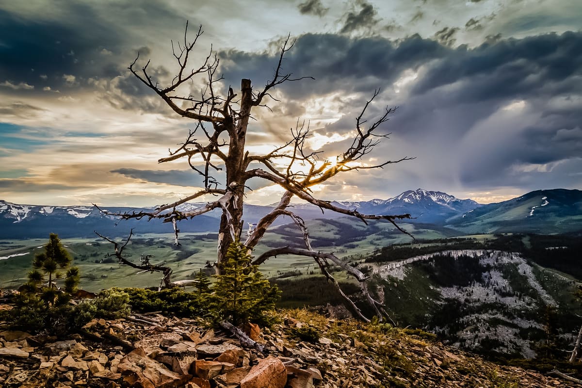 A storm is brewing over Bunsen Peak