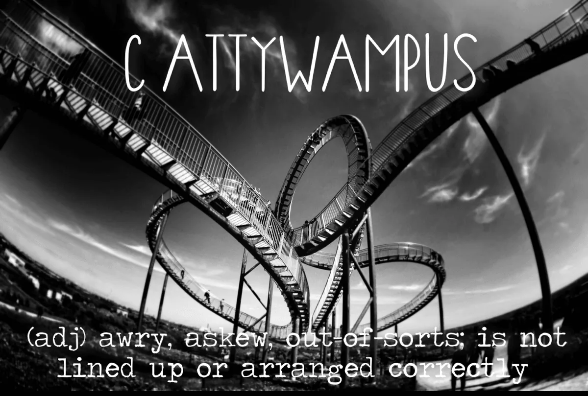 The word is Cattywampus