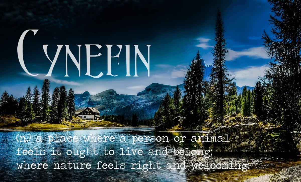 The word is Cynefin