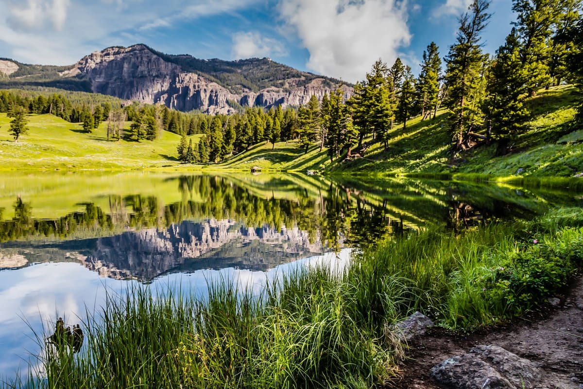 Find Serenity at Trout Lake