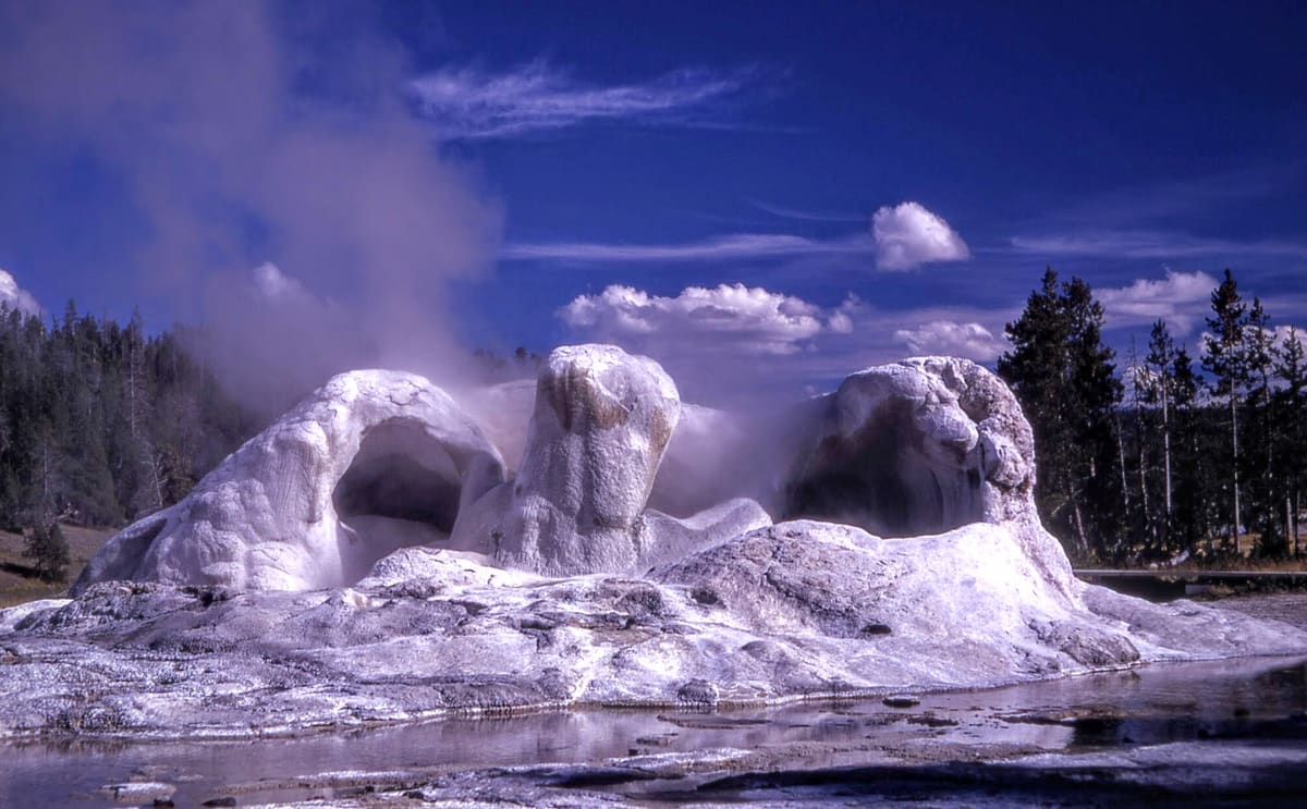Grotto Geyser's Eruption in Yellowstone