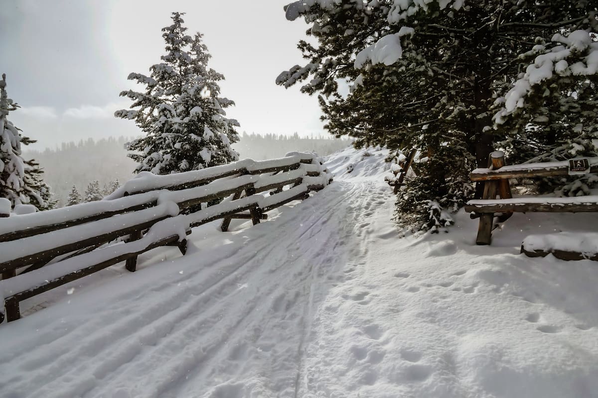 Yellowstone Christmas Hike