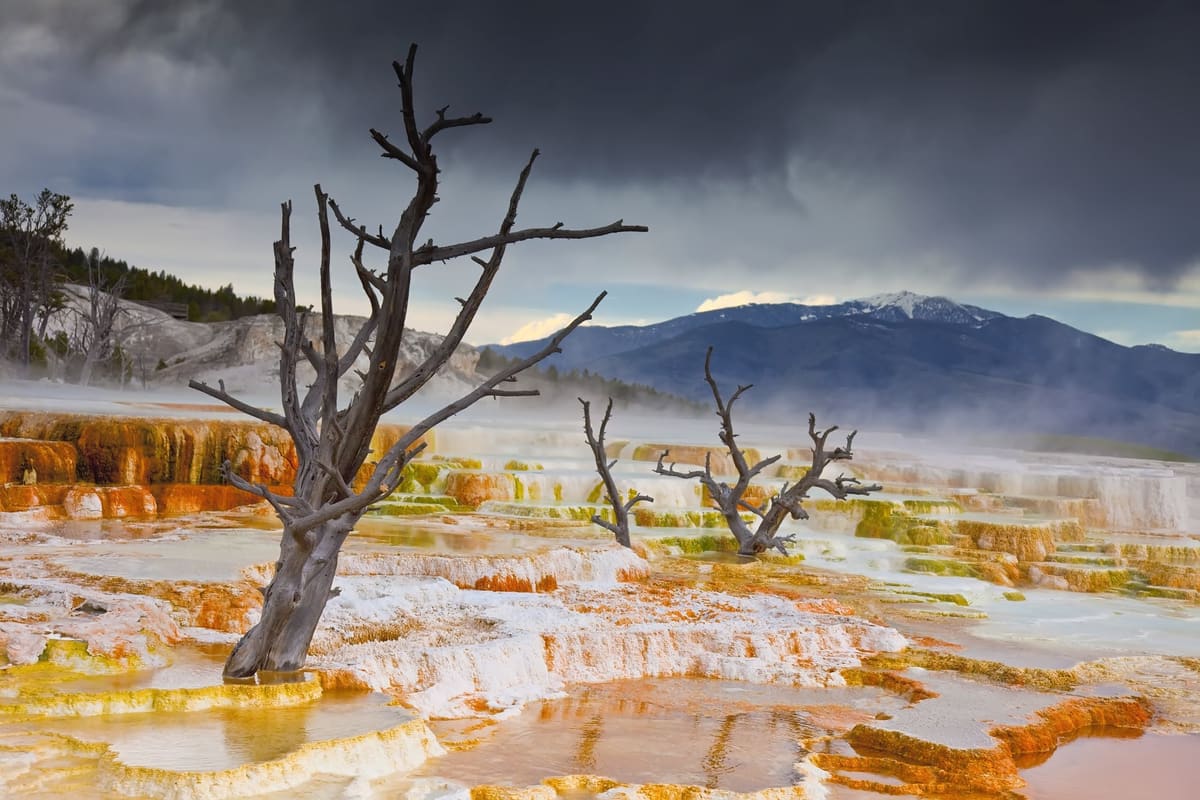 Morning at Mammoth Hot Springs