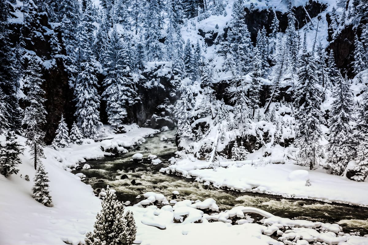 Snow Stream