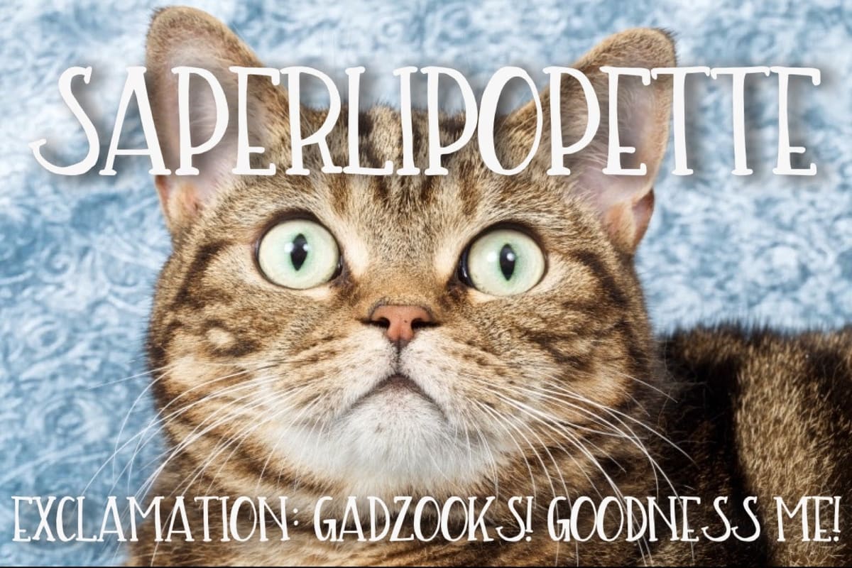 Saperlipopette