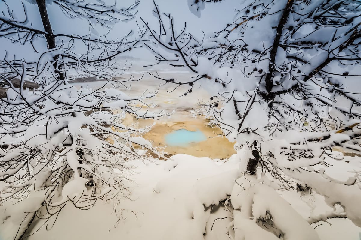 Porcelain pools through the trees