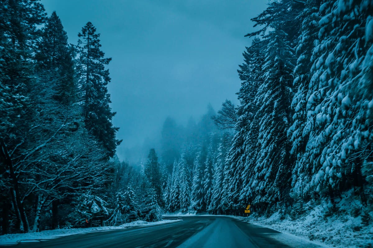 Snowy Drive