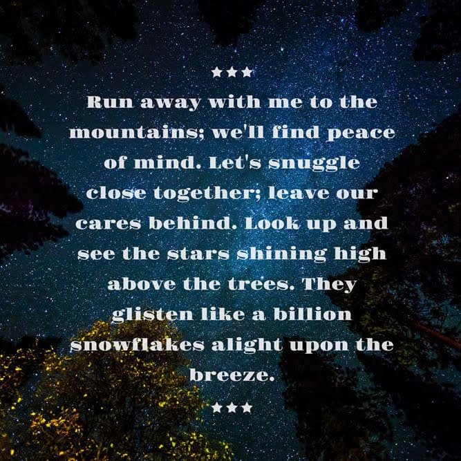Stars in the forest