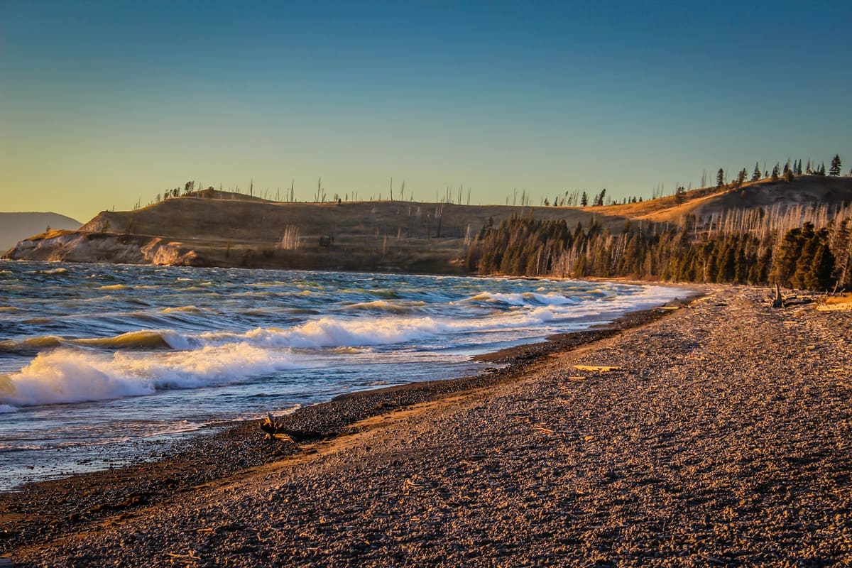 Strolling by Yellowstone Lake