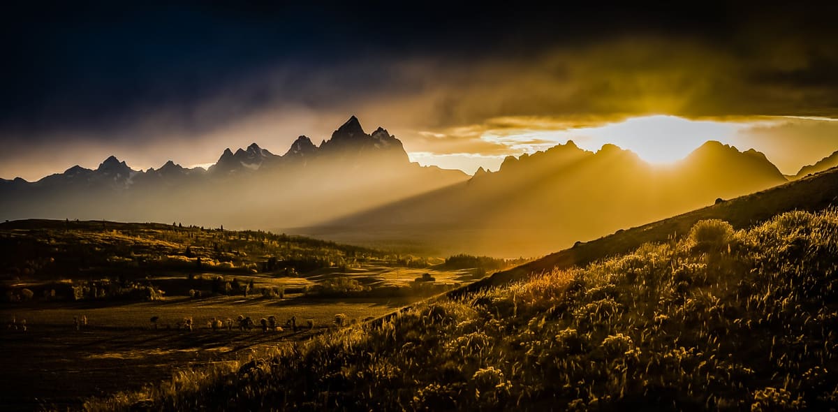 Happy Birthday Tetons!