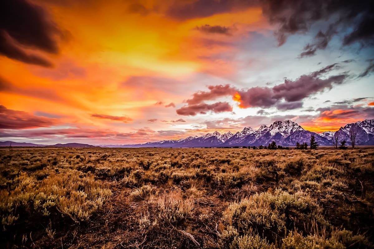 A golden sunset in a meadow near the Tetons