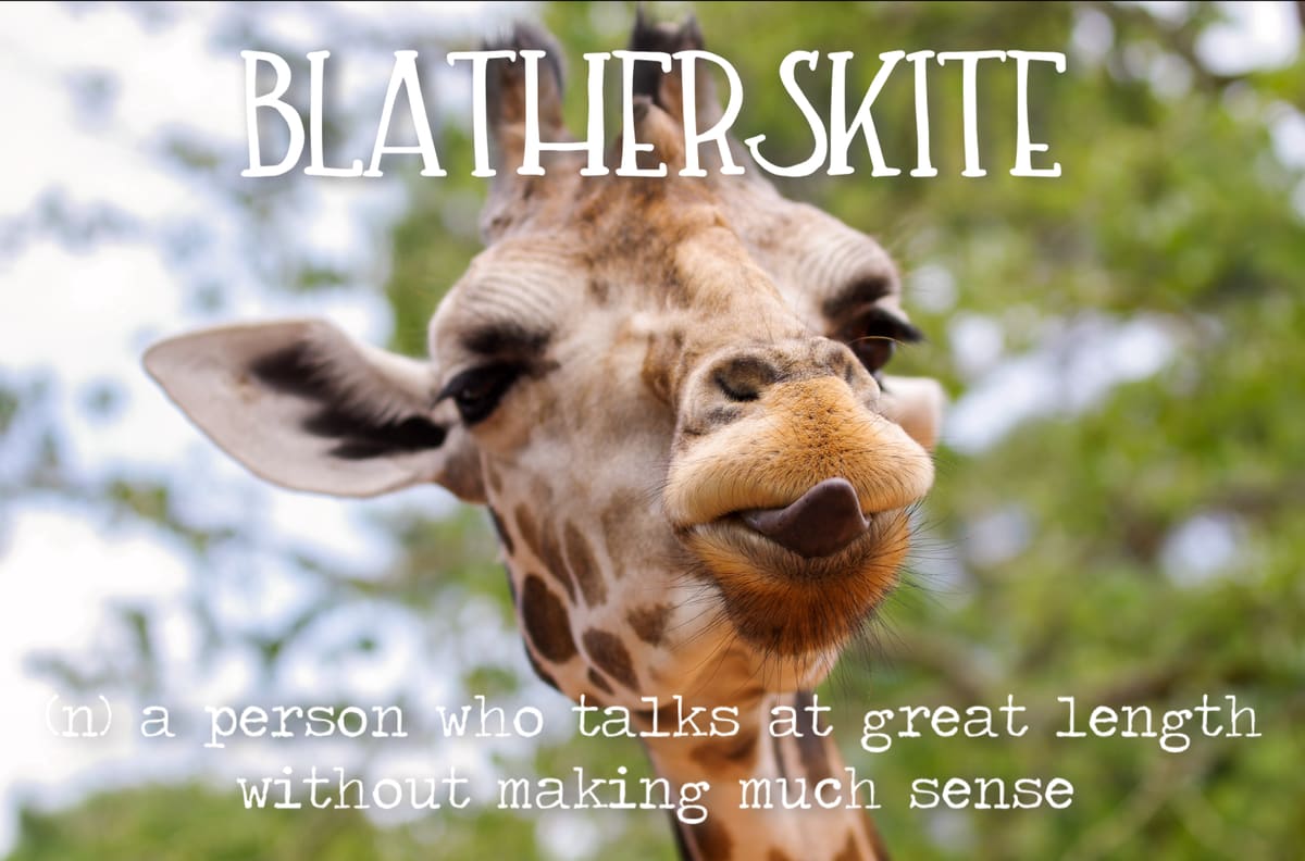 The word is Blatherskite