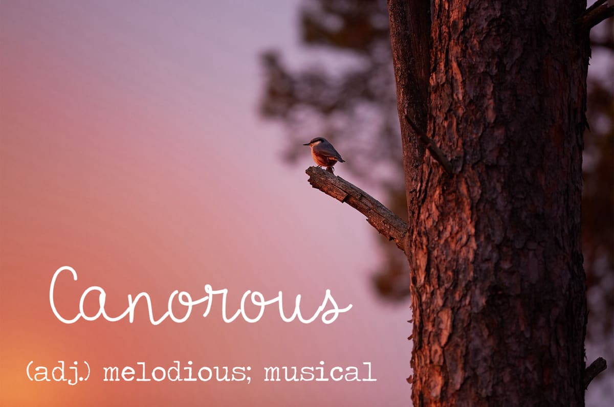 The word is Canorous
