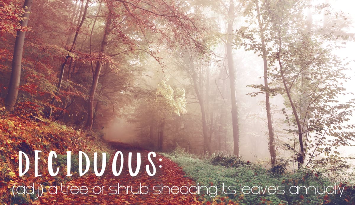 The word is Deciduous