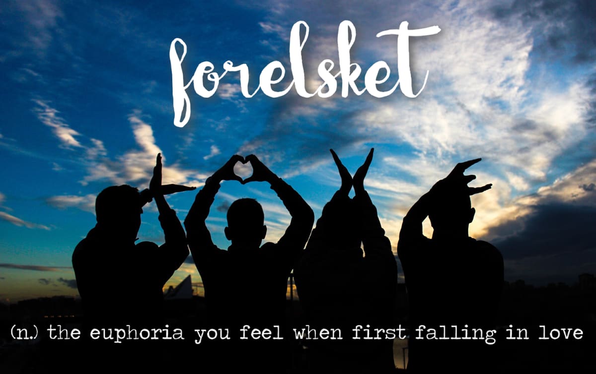 The word is Forelsket