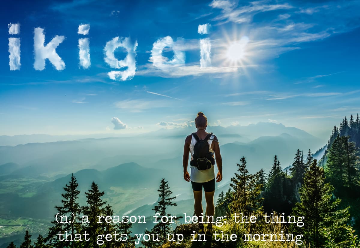 The word is Ikigai
