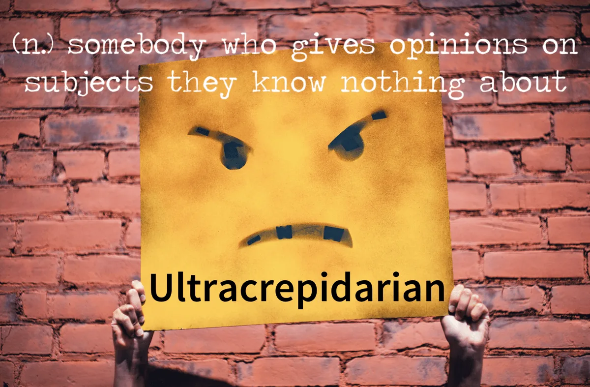 The word is Ultracrepidarian