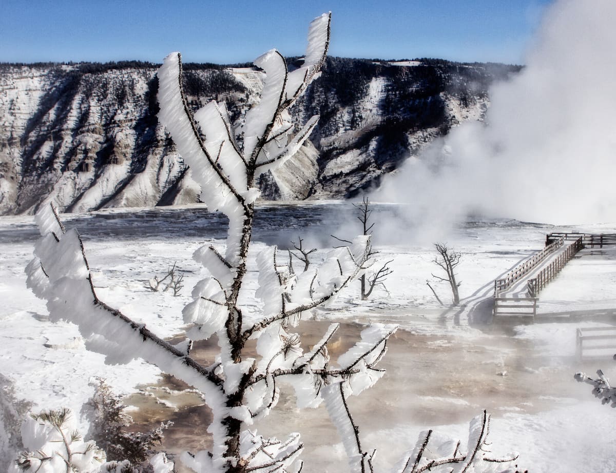 What is Rime Ice?