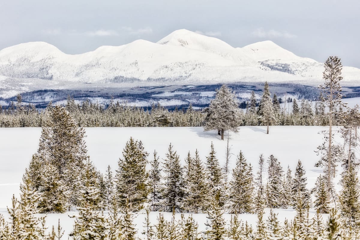 White Peaks and Mount Holmes